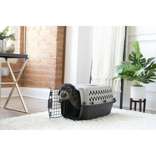 Vibrant Life Pet Portable Kennel for Dogs, Hard-Sided Travel Carrier